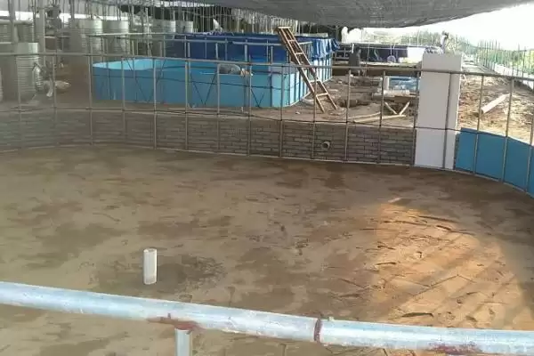 爬沙虫生长习性探秘:白天藏在阴暗处的生存之道插图2 爬沙虫生长习性探秘:白天藏在阴暗处的生存之道插图2