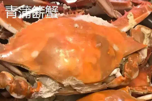 图片[8]-江苏东台的特产 ,江苏东台有什么知名特产呢-会东网