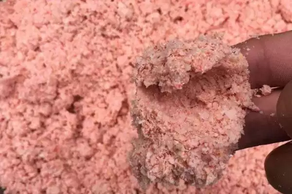 图片[2]-夏天野钓鲫鱼怎么搭配饵料？夏季野钓鲫鱼饵料搭配与养鱼方法要点？-会东网