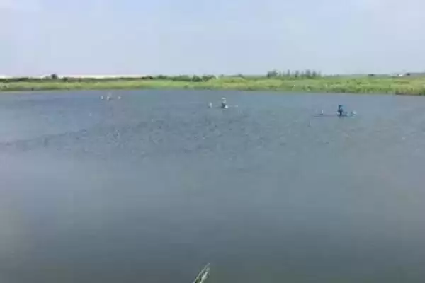 图片[3]-怎么处理浑浊的养殖水体？水体浑浊处理与养鱼重点？-会东网