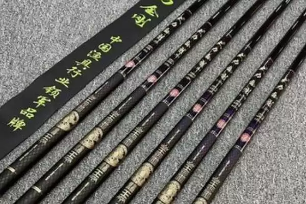 图片[4]-什么是大物竿？大物竿知识科普与养鱼方法要点？-会东网