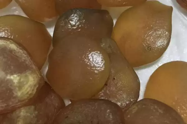 图片[2]-什么是青鱼石？青鱼石知识科普与养鱼关键细节？-会东网