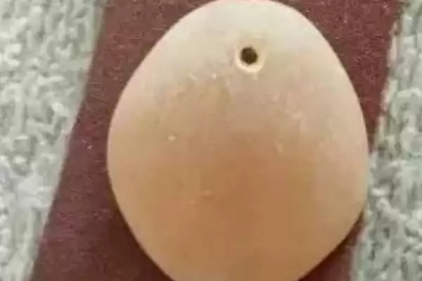 图片[3]-什么是青鱼石？青鱼石知识科普与养鱼关键细节？-会东网