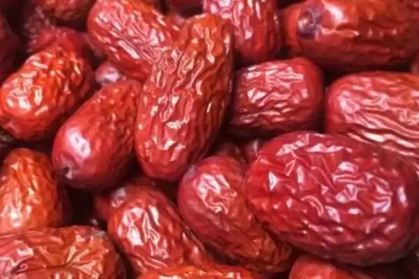 图片[9]-元旦节吃什么东西？节日饮食与养鱼关键细节？-会东网