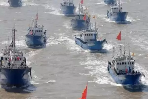 图片[2]-我国近海捕捞渔获量降低鱼个体小的主要原因是什么？近海捕捞问题原因与养鱼关键细节？-会东网
