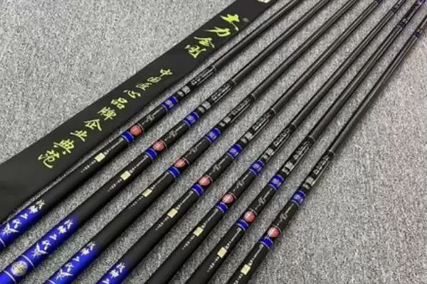 图片[2]-什么是大物竿？大物竿知识科普与养鱼方法要点？-会东网