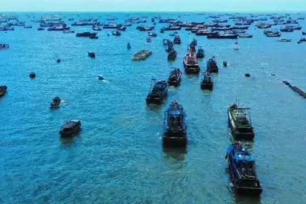 图片[4]-我国近海捕捞渔获量降低鱼个体小的主要原因是什么？近海捕捞问题原因与养鱼关键细节？-会东网