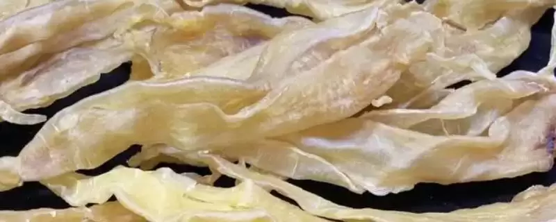 鱼胶都是什么鱼做的?鱼胶原料知识与养鱼方法要点?-会东网