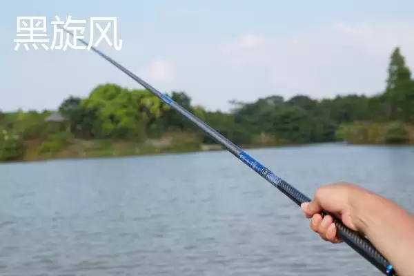 图片[5]-中逵鲤鱼竿款式推荐有哪些？鲤鱼竿款式与养鱼方法要点？-会东网