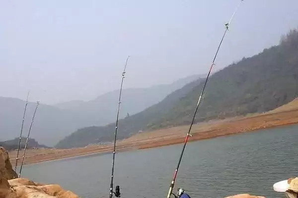 图片[3]-野钓钓位咋选？野钓钓位选择与养鱼关键细节解析？-会东网