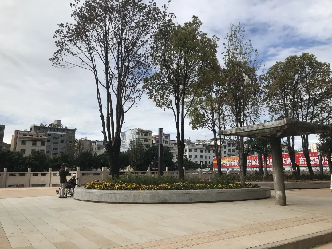 春节邂逅川滇明珠，味蕾与美景共舞插图15