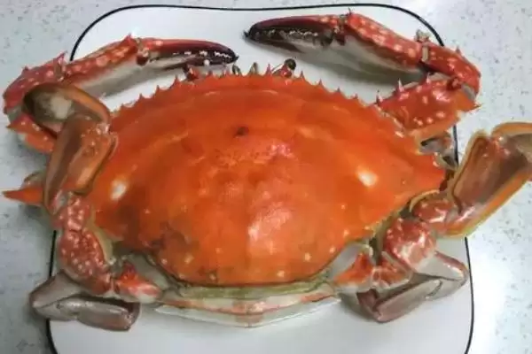 螃蟹蒸煮时间大揭秘：根据大小而定的科学方法插图4
