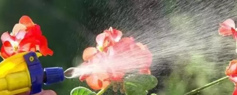 磷酸二氢钾对花卉的作用 ,磷酸二氢钾如何促花卉菌群繁殖？-会东网