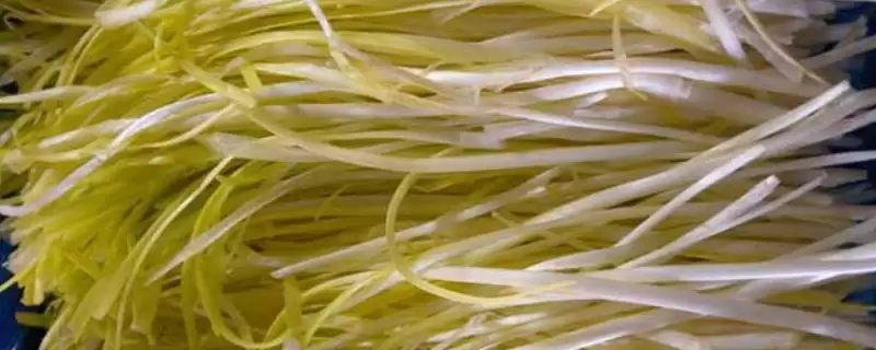 韭黄和黄韭的区别 ,韭黄和黄韭除叶片颜色外还有何不同?-会东网