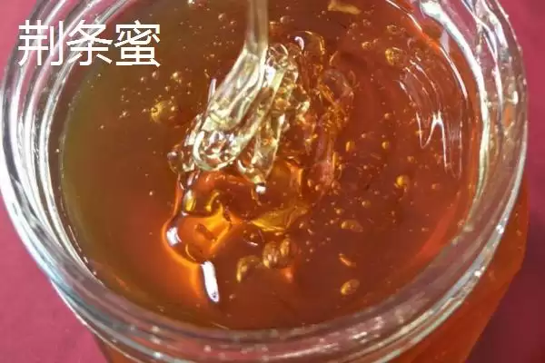 图片[2]-荆条蜜和槐花蜜的比较 ,荆条蜜和槐花蜜哪个更好呢-会东网