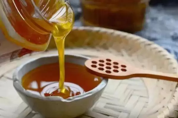 图片[5]-变质的蜂蜜是什么样，蜂蜜中会出现大量气泡并且质地会变稀-会东网