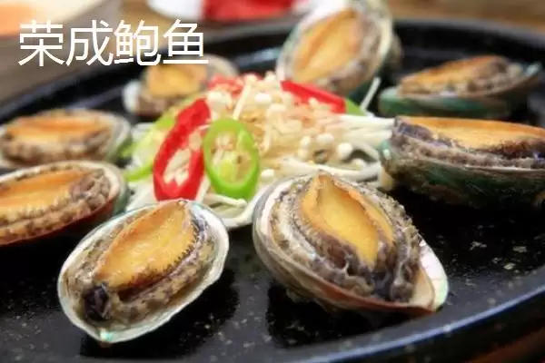 图片[7]-山东荣成的特产，荣成海参堪称参中之王-会东网