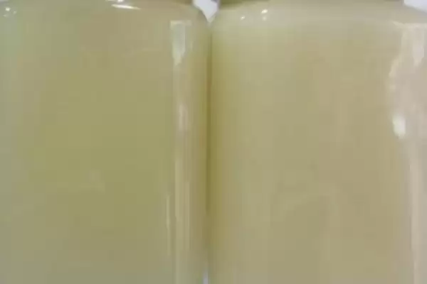 图片[2]-油菜花蜂蜜结晶状态，结晶后呈乳白色细粒状或油脂状-会东网