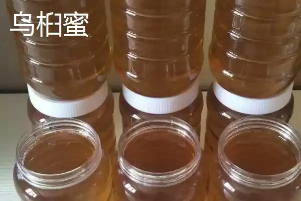 图片[2]-乌桕蜜和荔枝蜜哪个好，后者的色泽和口感都更优-会东网