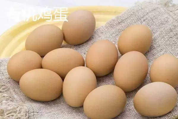 判断鸡蛋是否变质的方法和重点?养鸡要做好哪些蛋类品质把控?插图4 判断鸡蛋是否变质的方法和重点?养鸡要做好哪些蛋类品质把控?插图4
