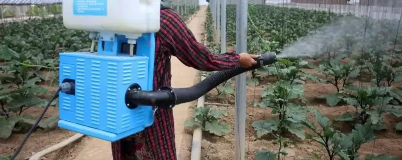 如何降低蔬菜种植中的农药残留？种植蔬菜降低农药残留要采取哪些方法？-会东网