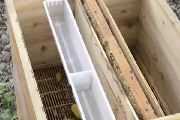 图片[4]-如何使用蜜蜂饲喂器，装好干糖后放在箱体与副盖之间即可-会东网
