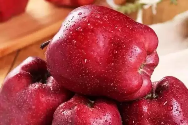 红星苹果和蛇果的区别,外形、口感和价格都不同插图4 红星苹果和蛇果的区别,外形、口感和价格都不同插图4