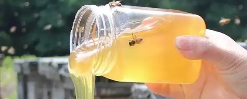 荆条蜜结晶粗吗,结晶后呈油脂状-会东网