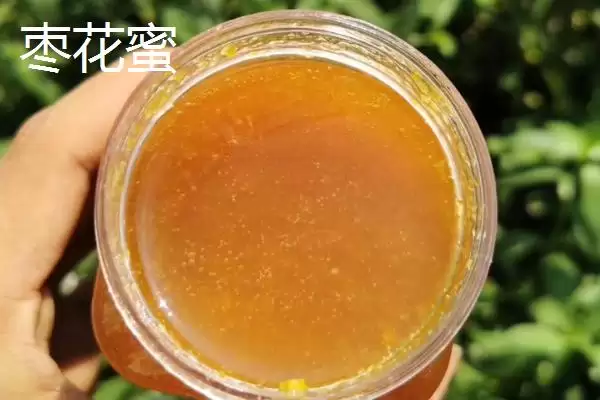 图片[3]-槐花蜜和枣花蜜对比，前者有槐花香味、后者有枣花香味-会东网