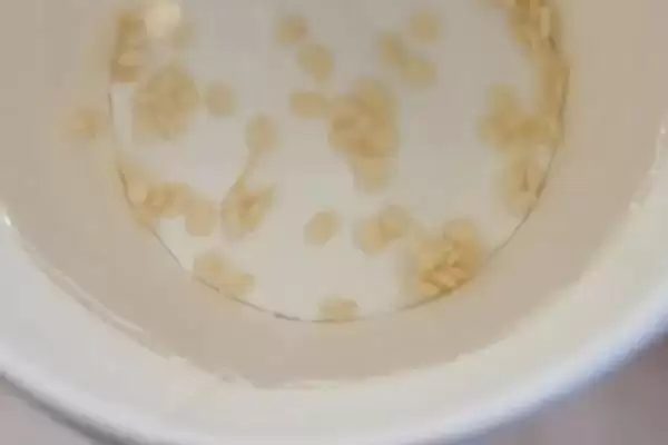 辣椒种子的浸泡方法 ,辣椒种子用多少度清水泡多久合适?插图3 辣椒种子的浸泡方法 ,辣椒种子用多少度清水泡多久合适?插图3