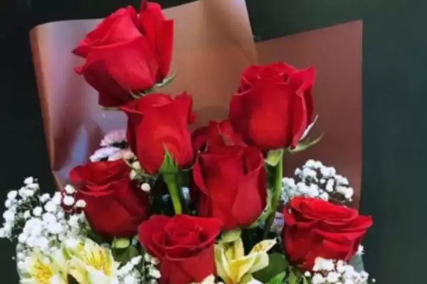 图片[7]-老婆生日的送花选择 ,送老婆生日花选玫瑰有何寓意？-会东网