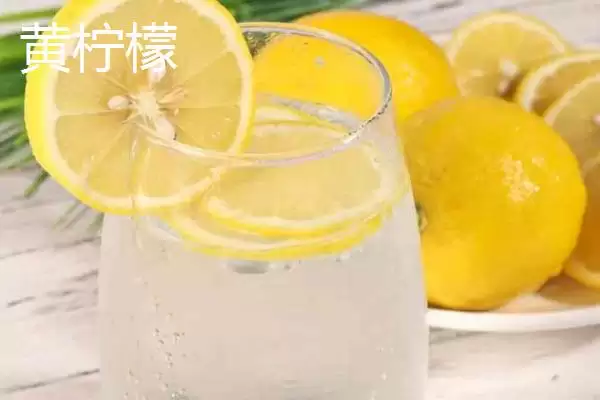 图片[5]-柠檬水属于酸性还是碱性，口感较酸但其实是碱性饮品-会东网