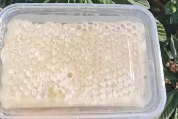 枇杷蜜口感怎样，甜润适口并略带杏仁香味插图1