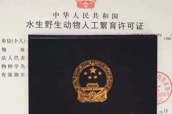 图片[6]-最轻巧的养殖业的种类和要点？选择轻巧养殖业需关注哪些项目？-会东网