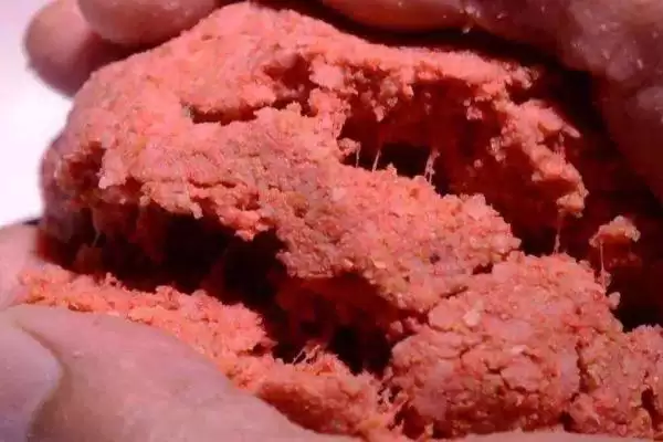 图片[8]-蓝鲫钓饵的介绍 ,蓝鲫钓饵常见的系列有哪些呢？-会东网