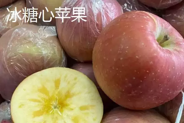 冰糖心苹果是特殊的品种吗，并非特殊的品种插图1