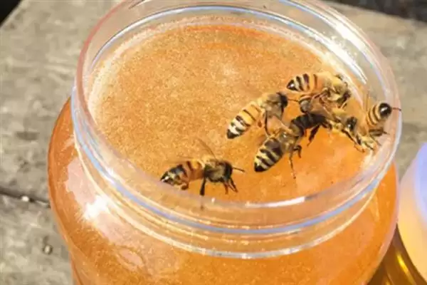 纯蜂蜜的保质期,一般会标注成2年或18个月插图4 纯蜂蜜的保质期,一般会标注成2年或18个月插图4