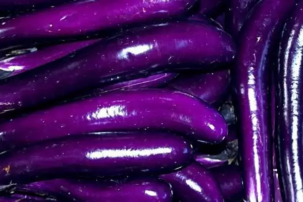 茄子存放时间揭秘：常温仅2天左右的保鲜奥秘插图2