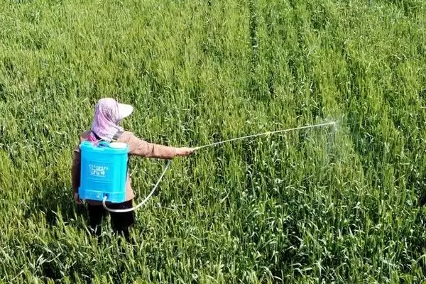 氟硅唑可防治什么病,针对梨黑星病、苹果轮纹烂果病等效果好插图2 氟硅唑可防治什么病,针对梨黑星病、苹果轮纹烂果病等效果好插图2