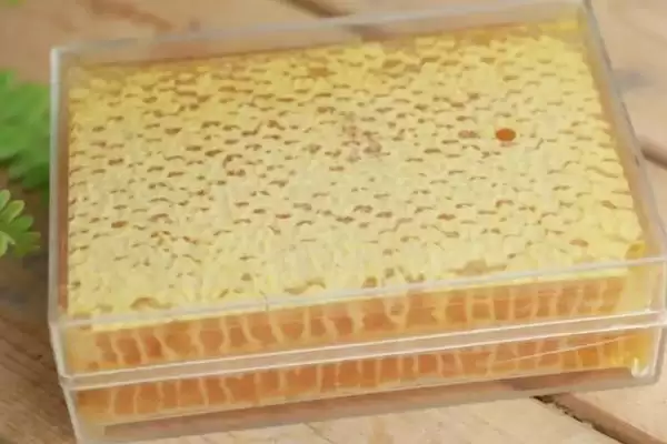 图片[2]-蜂巢蜜里面的蜂蜡能不能吃，可以食用但口感不佳-会东网