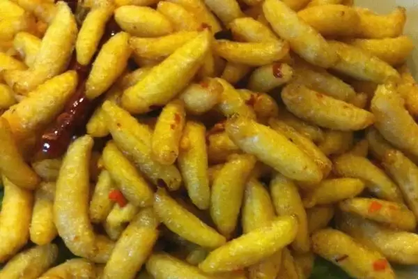 怎么用蜂蛹泡酒,放入装有粮食酒的容器中、再密封即可插图2 怎么用蜂蛹泡酒,放入装有粮食酒的容器中、再密封即可插图2