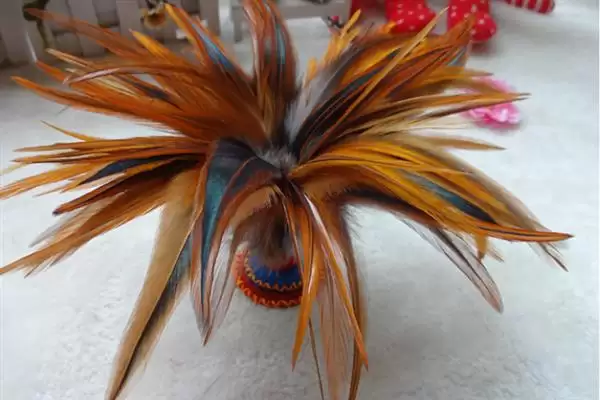 了解小鸡长羽毛时间节点的方法和重点？养鸡要做好哪些生长发育监测？插图3