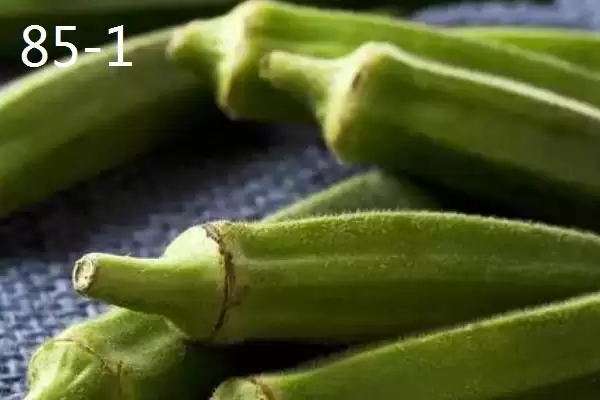 图片[9]-秋葵生长条件解析：充足光照时长对秋葵的重要性-会东网