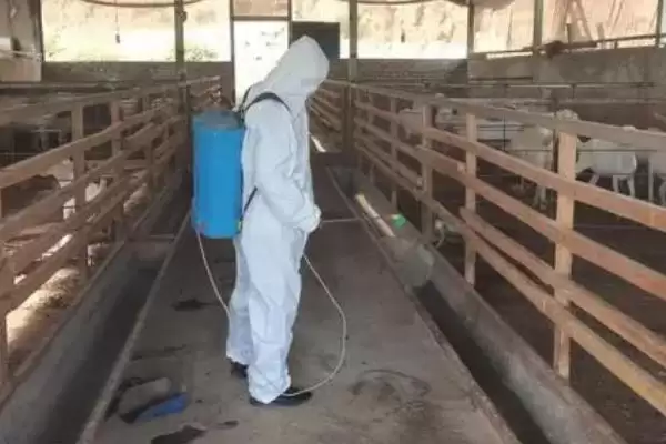 处理养殖场污水的方法和重点？养猪要做好哪些环保处理关键细节？插图2