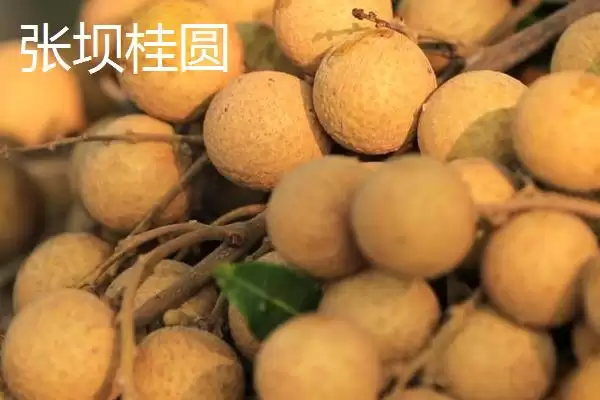 图片[2]-四川泸州市的特色水果？了解四川泸州市特色水果要知晓哪些地域特产信息？-会东网