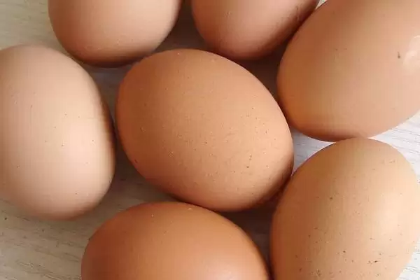 判断鸡蛋是否变质的方法和重点?养鸡要做好哪些蛋类品质把控?插图2 判断鸡蛋是否变质的方法和重点?养鸡要做好哪些蛋类品质把控?插图2