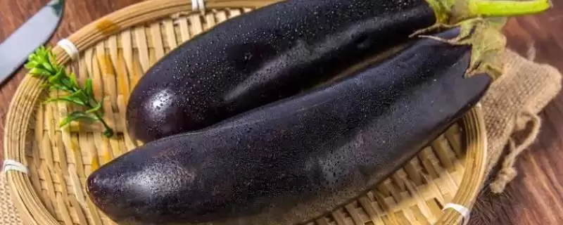 茄子施肥技巧:幼苗期农家肥、盛果期氮肥的科学搭配-会东网