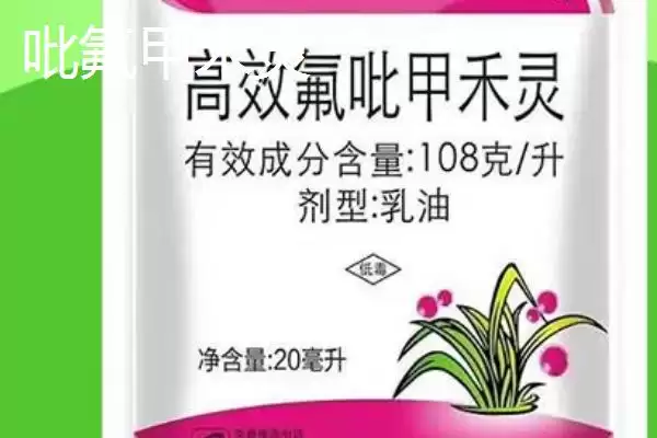 图片[3]-精喹禾灵和吡氟甲禾灵的区别 ,二者有哪些不同的效果呢-会东网