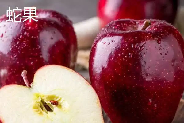 红星苹果和蛇果的区别,外形、口感和价格都不同插图3 红星苹果和蛇果的区别,外形、口感和价格都不同插图3