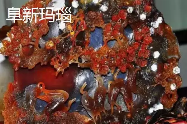 辽宁省锦州市有哪些特色水果,包括北镇葡萄、银白杏、锦州苹果等种类插图8 辽宁省锦州市有哪些特色水果,包括北镇葡萄、银白杏、锦州苹果等种类插图8